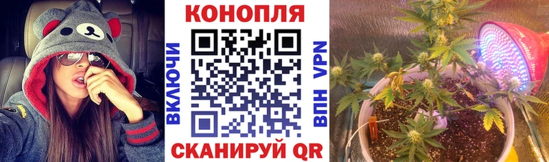 Наркошоп Усолье-Сибирское ГАШИШ  Псилоцибиновые грибы  Меф мяу мяу  Alpha PVP  АМФЕТАМИН 