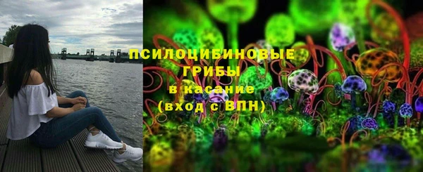 прущий лед Абаза