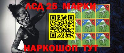 шишки Новокубанск