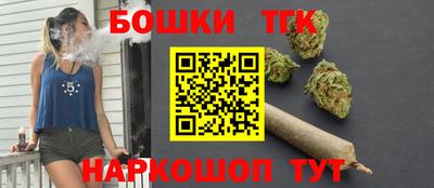 шишки Новокубанск