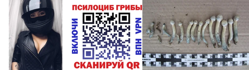 Галлюциногенные грибы ЛСД  закладка  Усолье-Сибирское 