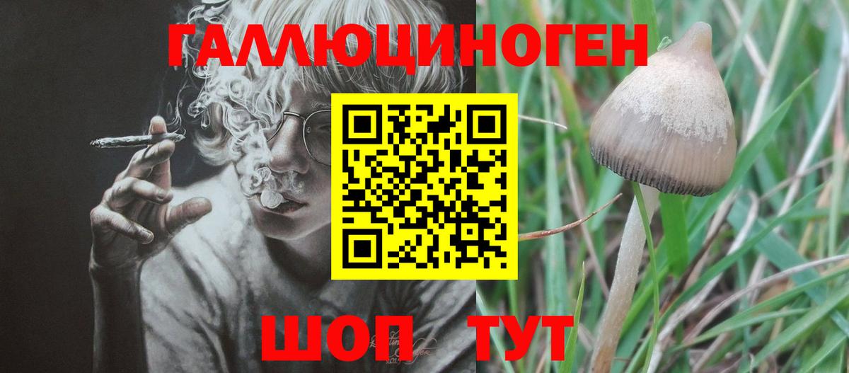 сколько стоит  Вход с VPN  Усолье-Сибирское  Псилоцибиновые грибы MAGIC MUSHROOMS 