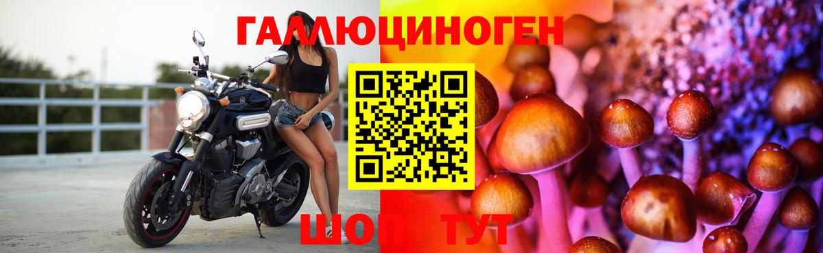 Псилоцибиновые грибы MAGIC MUSHROOMS Усолье-Сибирское